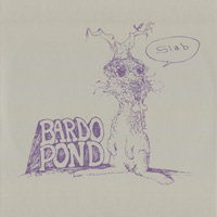 TLR 001: bardo pond — slab