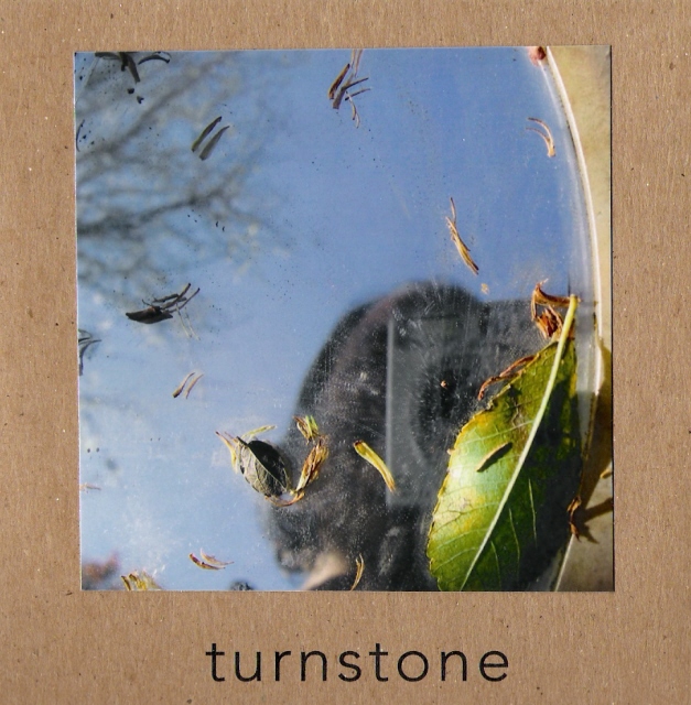 TLR 040: turnstone