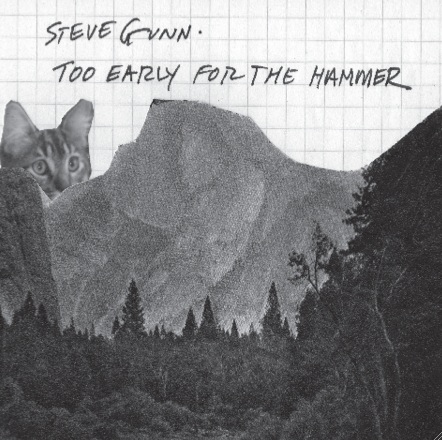 TLR 074: steve gunn â€” too early for the hammer